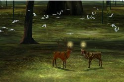 Tale of Tales – ‘The Endless Forest: Phase 3’ , 2007