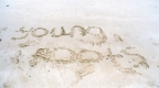 Young Roots